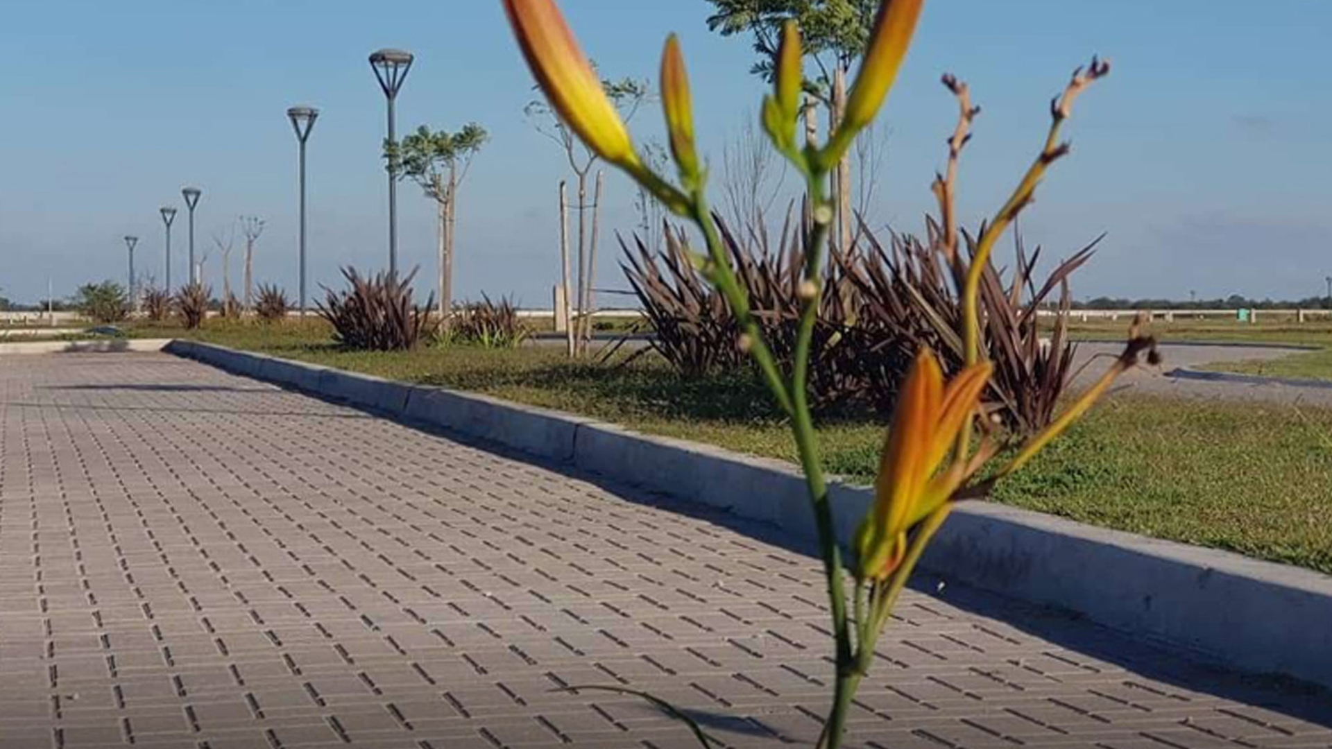 lotes en venta en canning san vicente